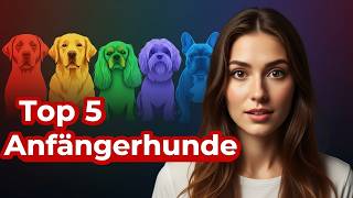 Top 5 Dog Breeds for Beginners | Your First Dog | The Best Family Dogs