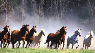 Lisa Johnson - Move Your Time