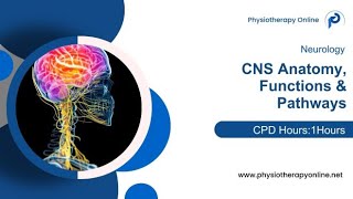 CNS Anatomy Functions & Pathways | Physiotherapy CPD Course