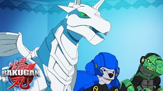 Wall To Wall Brawl! (Compilation) | Bakugan | Cartoons For Kids