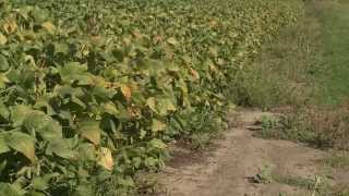 Market Journal - September 19, 2014 (full episode)
