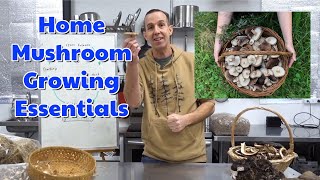 Easily Grow Mushrooms at Home: The Essentials of Growing Indoors & Out
