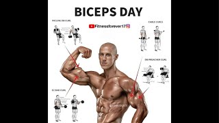 Bicep day in gym with Harish live