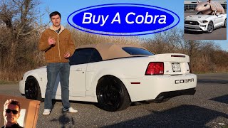 2003 Terminator Cobra Long Term Review 4 Years Later "YOU SHOULD BUY ONE"