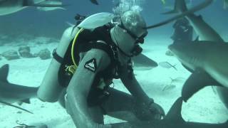 Stuart Cove's Shark Adventure Dive 1