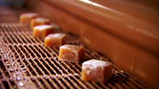 Bissinger's Sea Salt Caramels