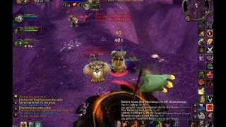 Fed Warrior PvP 1