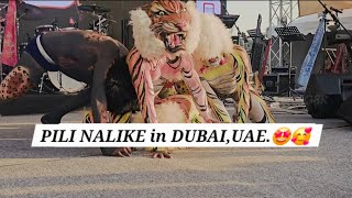 PiliNalike in Dubai 🤩 Mangalore culture in Dxb.#mangalore #udupi #mumbai #pilinalike #tigerdance #yt