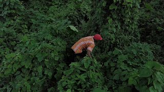 BAKASSI || Short Film