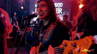 Los Bufalos - Carnavales Puyo 2024