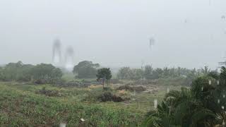 Rain Sounds to Sleep, Study, Relax, Reduce Stress, study, help insomnia and anxiety