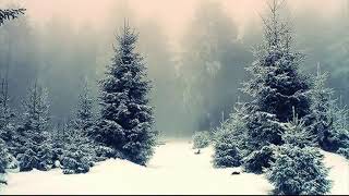 Fantastica neve tra gli alberi nel bosco - ASMR - nevicata rilassante