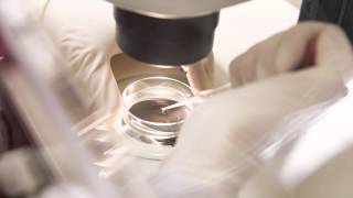 Ask the Doctor with Urologist Dr. Dan French - Vasectomy reversal options?