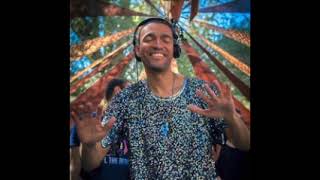 Patrice Baumel Live | Rainbow Serpent Festival 2019 (Australia) | 28-01-2019