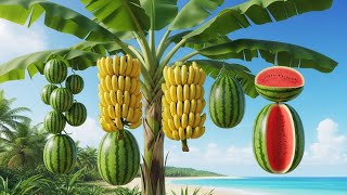 How to propagate Banana