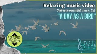 🦜A Day as a Bird🦜 : Relaxing Music Video