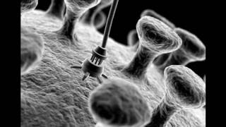 Nanotechnology: The Legal Aspects