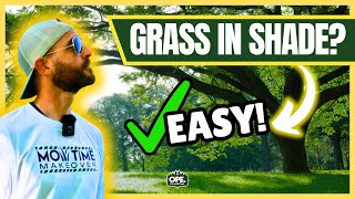 BEST Grass Seed for GREAT RESULTS in SHADE 🌳 & The ONE You Should AVOID!