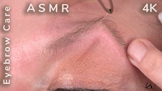 Eyebrow Care *Deborah* [ASMR]