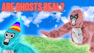 10 Gorilla Tag Myths!