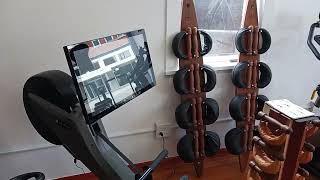 The Aviron Rower is a great option for you...