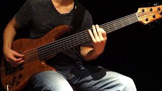 6 String Fretless Bass & Looper