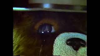 Smokey Bear - Only You (1977, USA)