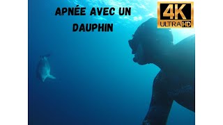 Apnée avec un Dauphin Jean-Luc Casares Ecole Internationale d'apnée