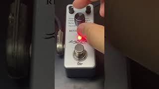 ISET Reverb Baby Silver Reverb Demo