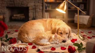 2 Hours of Relaxing Music for Dogs🐶🎅 Anti-Separation Anxiety Relief Music🎄Sleep dog Healing 💖No Ads