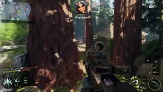 Reading Mean Comments About My Stories - Sarah Gallagher