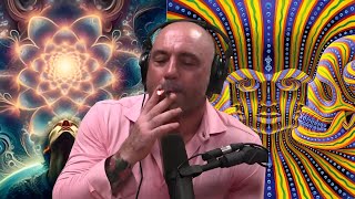 10 CRAZIEST " DMT"  Experiences Shared on Joe Rogan Podcast