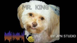 MR  KING - THIS IS MY DOG - MUSIC COMPOSED BY CHATGPT AND SUNO AI - BY JPN STUDIO 2026