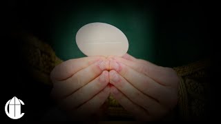 La Santa Misa | Segundo Domingo Del Tiempo Ordinario
