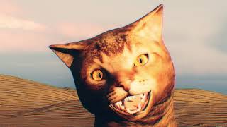 Navet Confit - il n'y a jamais eu personne (version chat)