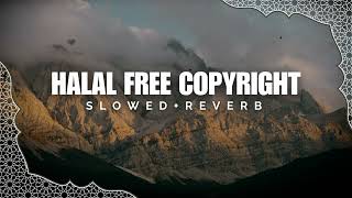 Halal Islamic Nasheed | Beautiful Heart Touching Nasheed | Free Copyright | Islamic World