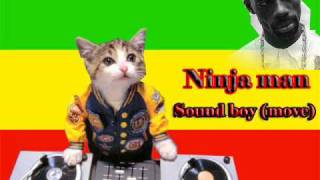 Ninja man - sound boy (love fever riddim)