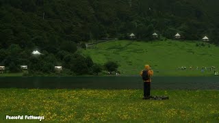 🌬️ Breathe in peace, breathe out stress – a relaxing playlist