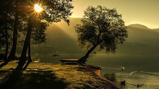 Morning Flute Music🌿🌺 | Himalayan Flute Music | Mountain Flute(बाँसुरी) | Meditation Music