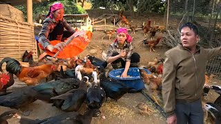 I lined the water tank to raise ducks, while my ex-husband quietly cleaned up his life. Ly Vy Ca