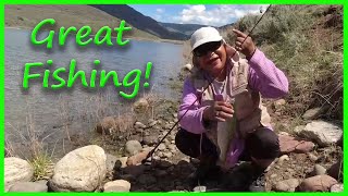 Amazing Trout Fishing and Dispersed Camping at Avery Lake, Colorado