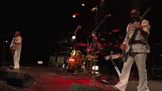 Live at Cork Opera House - Cow In The Water -  Anger In My Drink