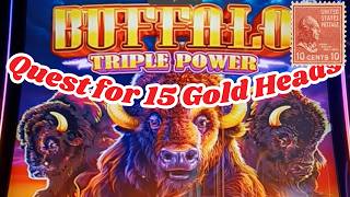 Quest for 15 Gold Heads Session Ten