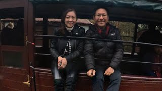 Puffing Billy Train at the Dandenong
