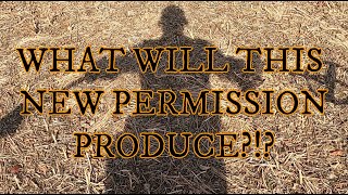 Metal Detecting a New Permission!! Will I Find Civil War Relics???