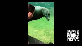 Funny cats 🐱 and dogs 🐶 2023 /funny moments / funny animals