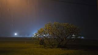 stormy in taylor
