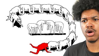 WHAT IS GOING ON | Plug And Play