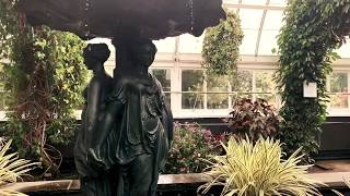 NYBG - Brazilian Modern: The Living Art of Roberto Burle Marx