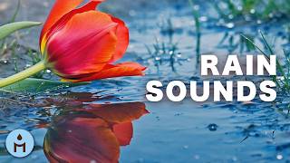 Dormir Profondément 🌧️ AVEC LA PLUIE 🌧️ Musique & sons relaxantes pour sommeil réparateur